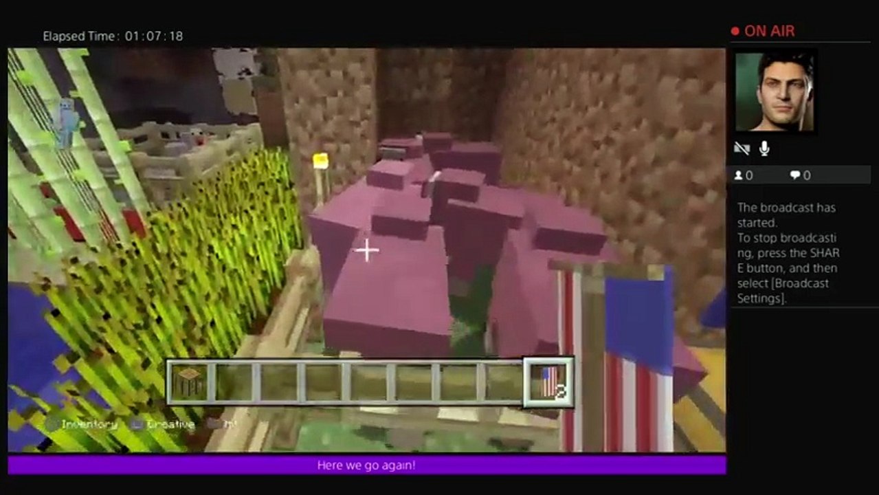 Minecraft random stuff (6)