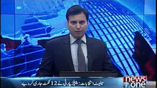 PPP issues party tickets to candidates for Senate elections