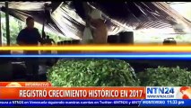 Llegada de Rex Tillerson a Colombia está enfocada en incrementar la lucha contra los cultivos ilícitos en el país