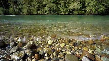 4K River Footage - Skagit River in Northwest Washington - Trailer of the video
