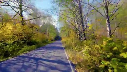 4K Scenic Drive with Floating Music - Snoqualmie, Washington State - 4min Trailer