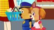 Paw Patrol Cartoon Chase & Skye Heal Puppy! Finger Family Song Nursery Rhymes