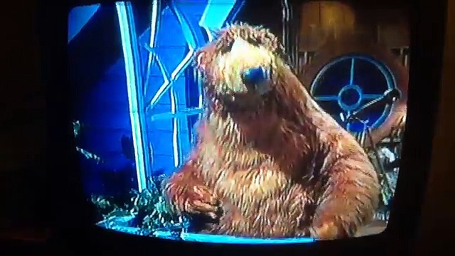 Bear In The Big Blue House Vhs