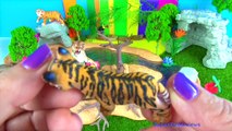 Vahşi Hayvanlar - Kaplanlar - hayvanat bahçesi hayvanları - Oyuncak - İngilizce