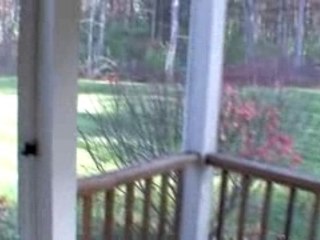 Acton, Massachusetts (MA) "The Arbors" townhouse real estate