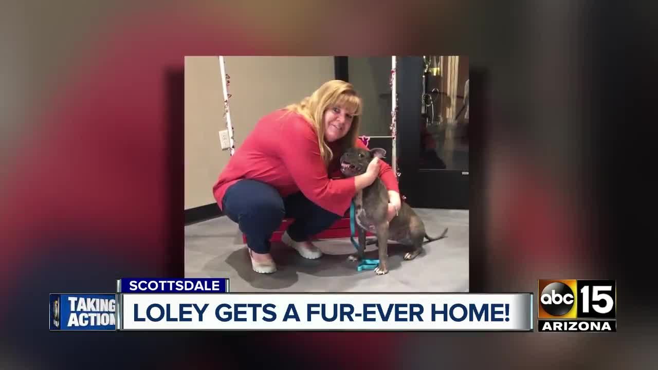 Last dog from free adoption event adopted!