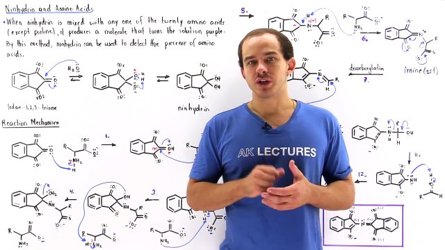 Ninhydrin and Amino Acids