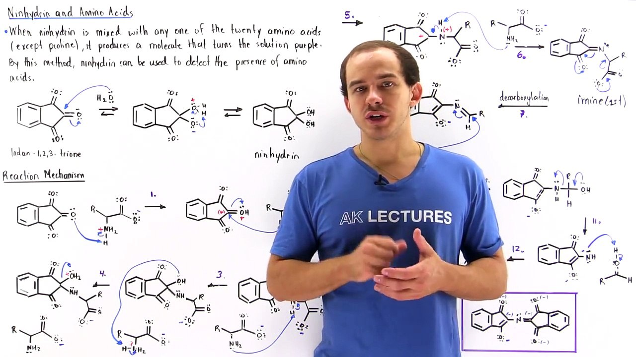 Ninhydrin and Amino Acids