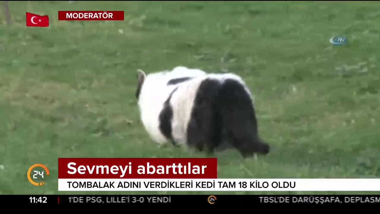 Kilo aldı