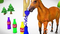 Learn Color & Learn Fruits Horse Animals W Coca cola Cartoon Nursery Rhymes Song For Children