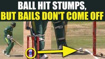 India vs South Africa 2nd ODI: De Kock gets nearly out, ball hit wicket but stumps stay on |Oneindia