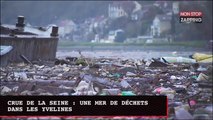Crue de la Seine : une mer de déchets dans les Yvelines (vidéo)