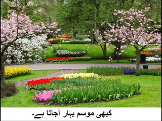 5th class social studies, 17, Question answers, سوال جواب