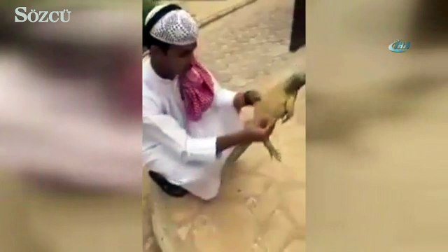 Oyuncak sandı, gerçek çıkınca hopladı