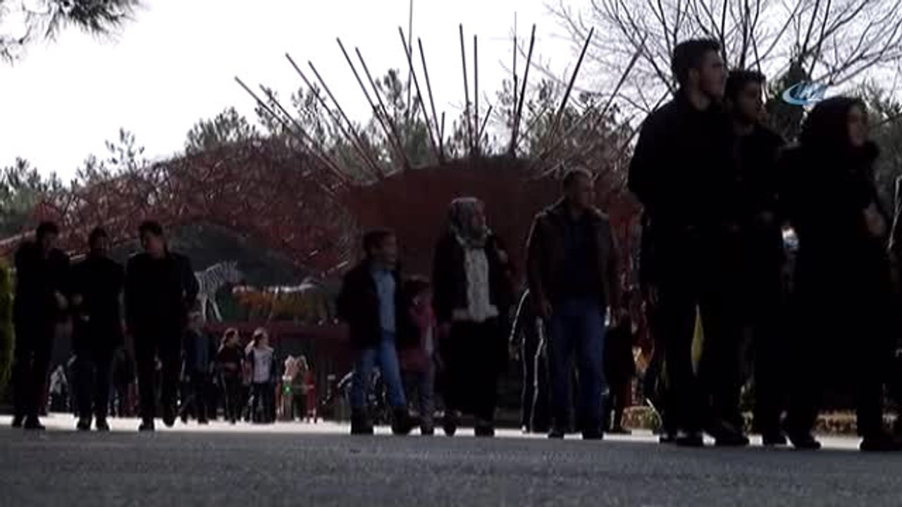 Cumhurbaşkanı Erdoğan'ın Aslanları Ziyaretçi Akınına Uğruyor