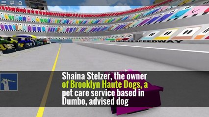 Please Don’t Make Me Go Out There