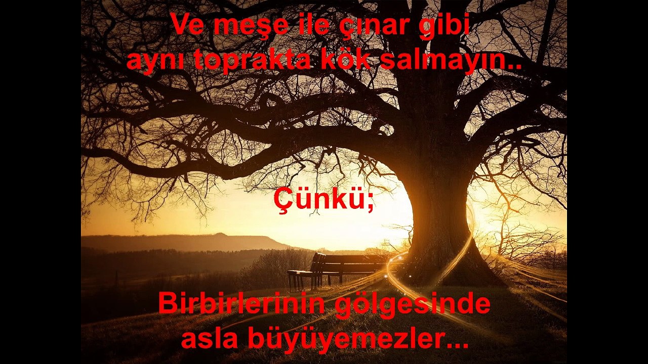 EVLİLİK ANCAK BÖYLE GÜZEL ANLATILABİLİR...