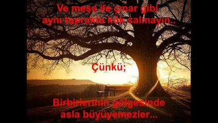 EVLİLİK ANCAK BÖYLE GÜZEL ANLATILABİLİR...