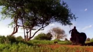 Lions Documentary: Lion & Man Killing Dance ( National Geographic Documentary)
