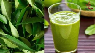 15 Health Benefits Of Curry Leaves That You May Not Know