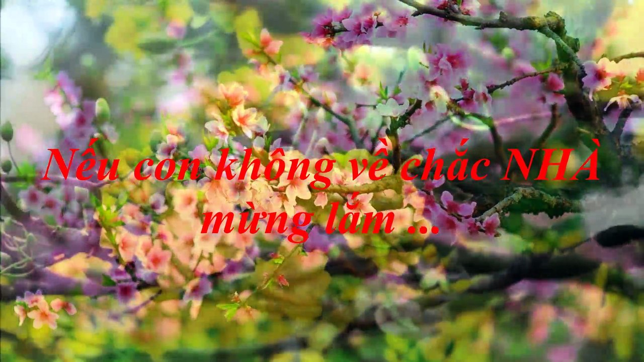 OGXT - Xuân Này Con Không Về