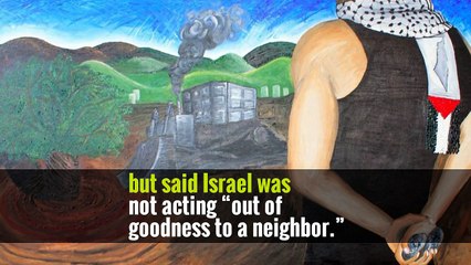 Secret Alliance: Israel Carries Out Airstrikes in Egypt, With Cairo’s O.K.