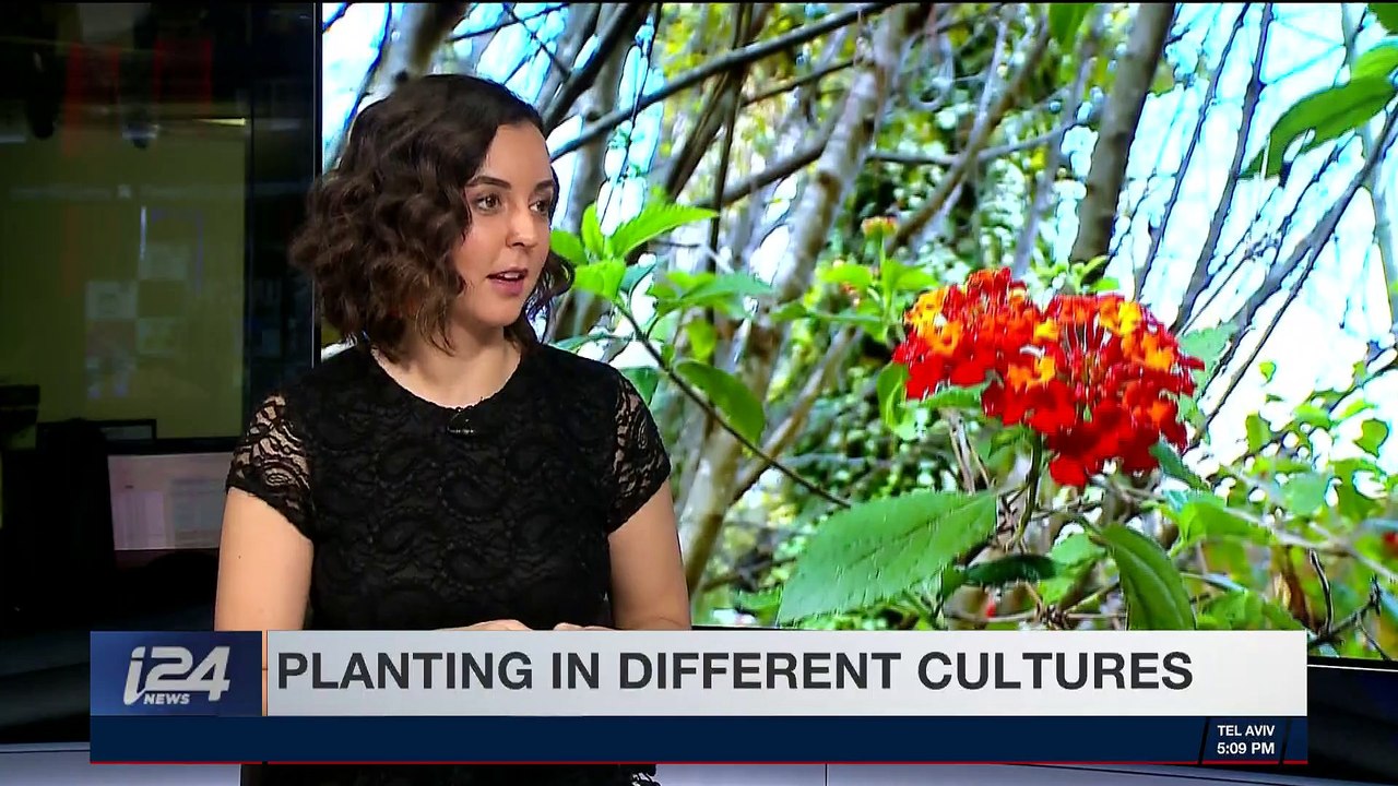 HOLY LAND UNCOVERED | With Jordana Miller | Sunday, February 4th 2018