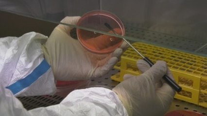 Extremadura se sube a la elite de la investigación del genoma humano