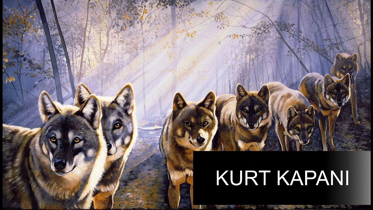 TÜRKE ZAFER KAZANDIRAN SAVAŞ TAKTİĞİ "KURT KAPANI-HİLAL-TURAN- TAKTİĞİ"