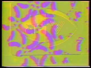 La introspeccion en el videoarte - dos miradas femeninas