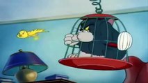 My-Cartoon For Kids Tom And Jerry English Ep. - ???? - Cartoons For Kids Tv