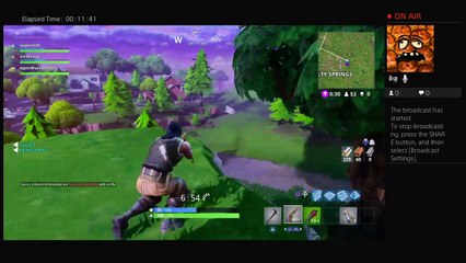 The not so great streamer (4)