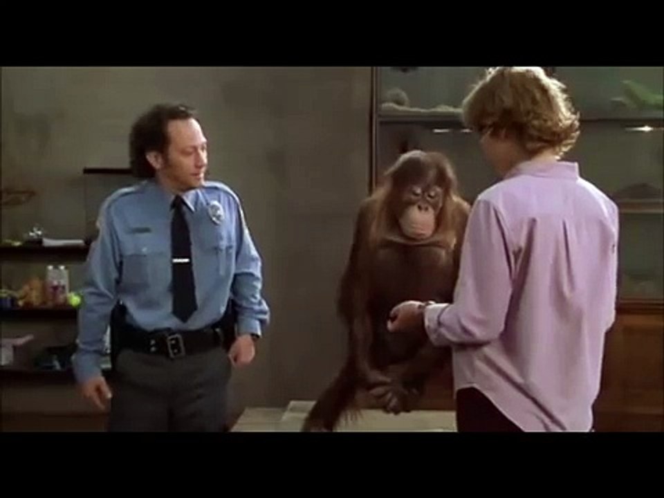 funny scene from the animal
