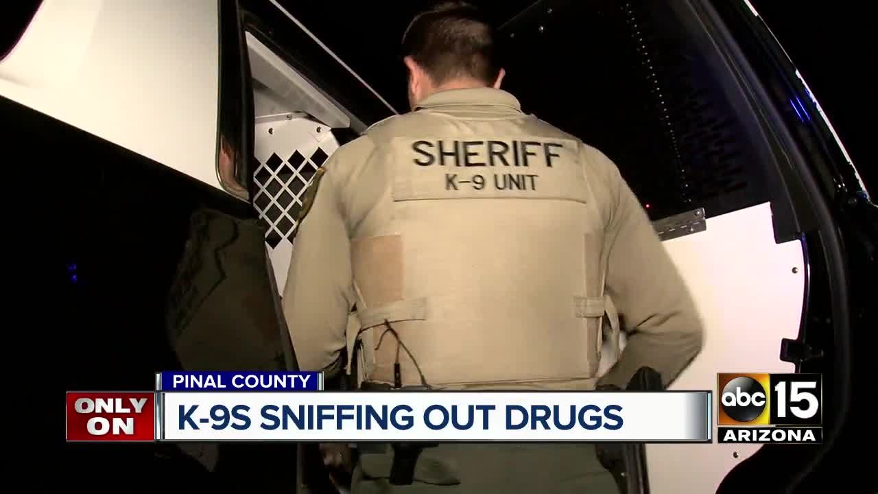 Pinal County K-9s sniffing out crime