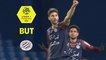 But Paul LASNE (42ème) / Montpellier Hérault SC - Angers SCO - (2-1) - (MHSC-SCO) / 2017-18