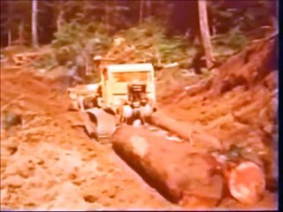 Patterson/Gimlin Bigfoot: René Dahinden talks about tracks - 1967 - rare video