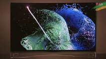 LG OLED TV: Tecnologia de Última Geração Aprovada pela Última Geração