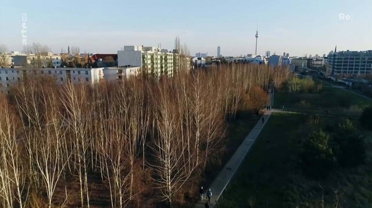 Zu jung zum Sterben - Kämpfen gegen Krebs