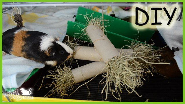 DIY MÓVIL CON HENO PARA COBAYAS,CONEJOS Y CHINCHILLAS | HAZLO TÚ MISMO | JUGUETES CASEROS