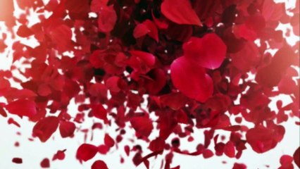 قصيدة  كرب في زفاف للدكتور الشاعر الخالدي جمال