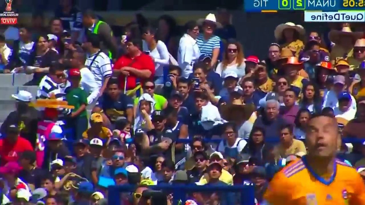 Pumas vs Tigres 2-0  All Goals & Highlights