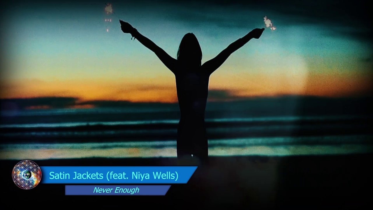 Satin Jackets (feat. Niya Wells) - Never Enough