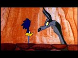 Cartoon Network | Curtas CN: Coyote e Papaleguas em Sobrevivi | 2010