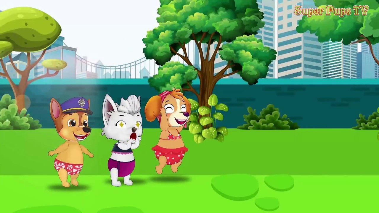 Paw Patrol Full Ep. Chase, Skye & Sweetie Plays The Slider In The Water Park Mission Paw