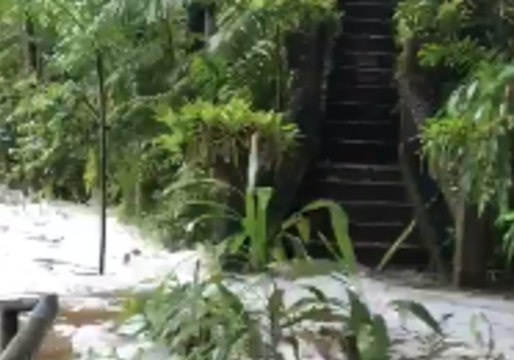 Heavy Rainfall Sends Floodwaters Crashing into Queensland Park