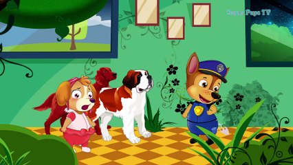Paw Patrol Cartoons Skye Become Superwoman Catch The Toy Thief On The Street! Funny Story