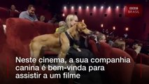 O cinema de Londres que recebe cachorros