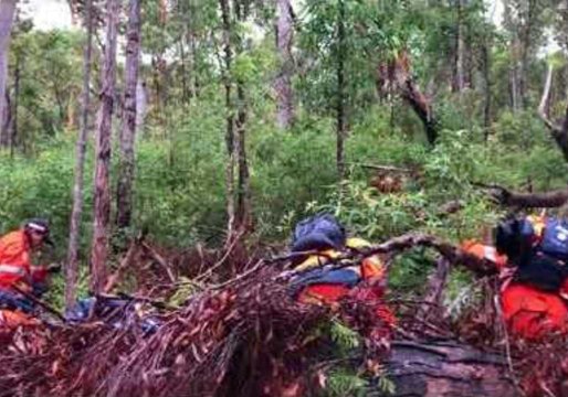 Police Search Gladstone Bushland in Cold Case Murder Investigation