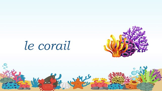 Apprendre le français - les animaux marins [ Vocabulaire ]