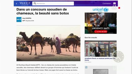 Un concours de beauté pour les dromadaires